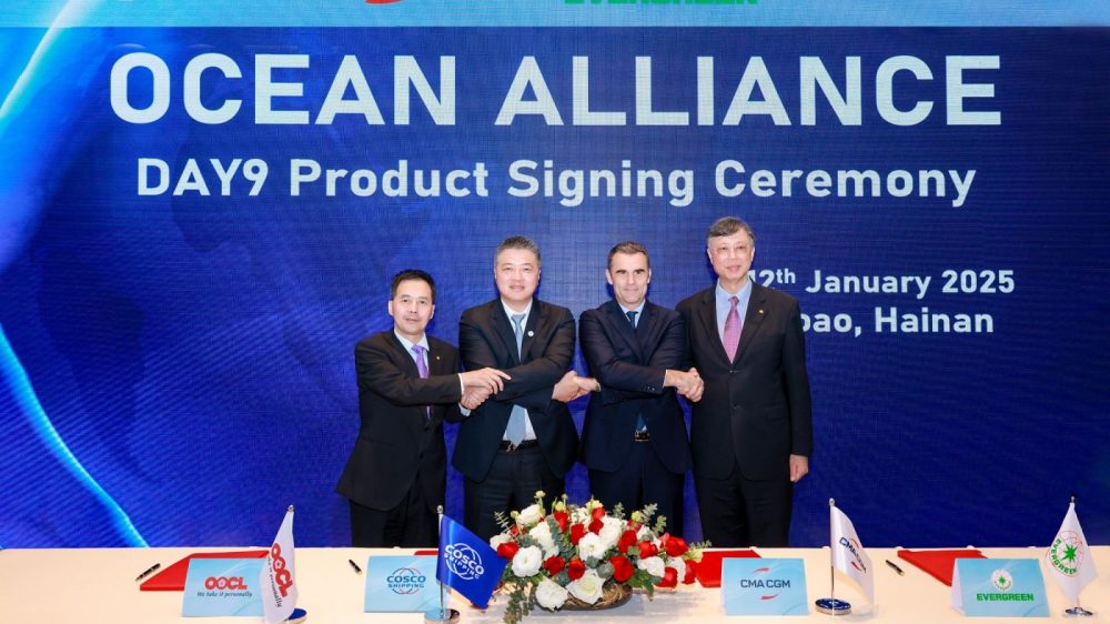 ocean alliance ocean alliance