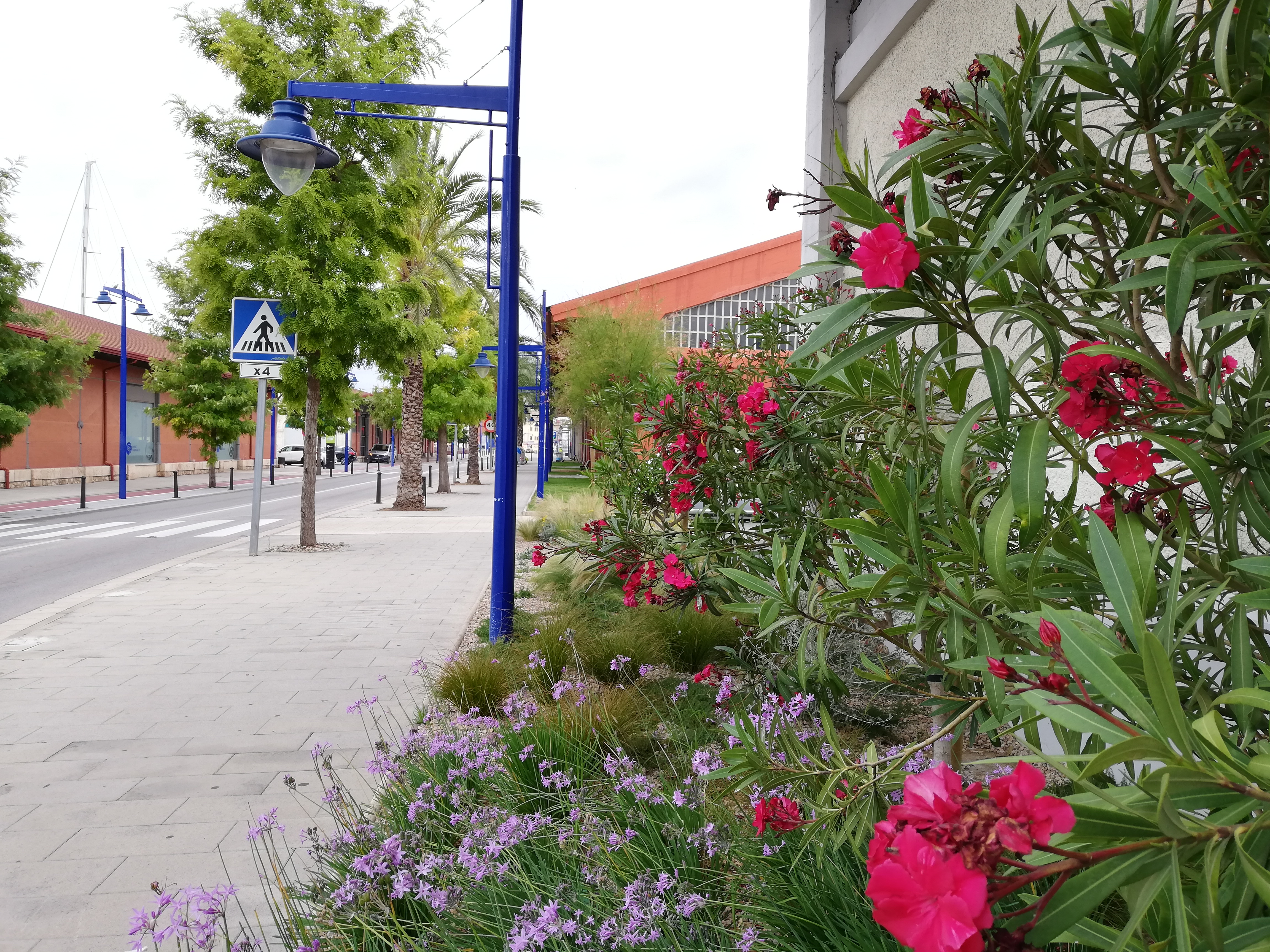 el puerto tarragona sustituye la luminaria del moll de costa por un alumbrado más eficiente y sostenible con el entorno