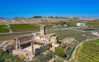 insitu lleida