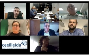 consell directiu ceei lleida