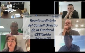 consell ceei lleida
